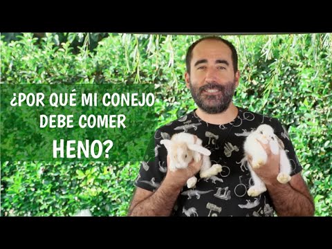 Video: ¿Los conejos necesitan paja o heno?