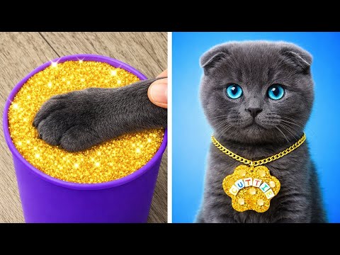 Clever Cat Gadgets & Laugh-Out-Loud Feline Fails! 🐾😂