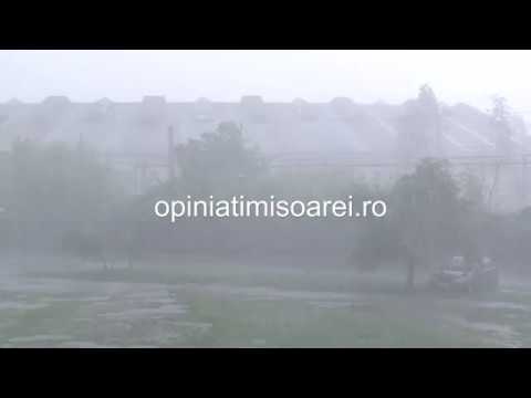 Furtuna la Timisoara