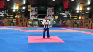 poomsae 1-8