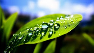 🎶Легкая музыка для повседневных дел. Разложите всё по полочкам. Ментальное спокойствие