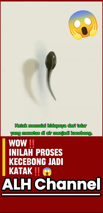 Wow‼️inilah proses kecebong jadi katak😱‼️#shorts #kecebong #katak #faktaunik#metamorfosis