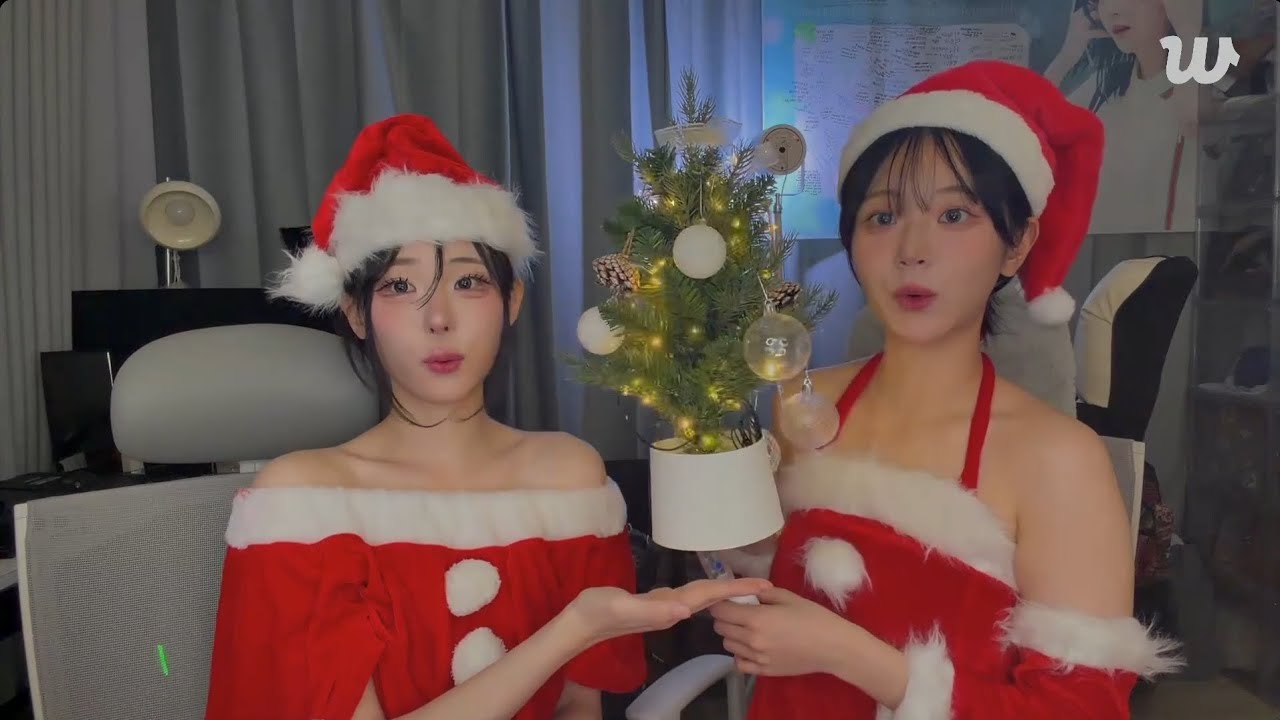 쵸단 with 히나 위버스 라이브 영상 (12. 25. 2025)