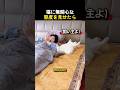 猫に無関心な態度を見せたら