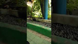 Keramat Eyang Aji Dipati Ukur makamkeramat dipatiukur shortsfeed