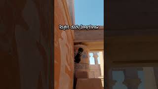 Donk B site pop flash on Anubis! #cs2 #csgo #anubis #shorts
