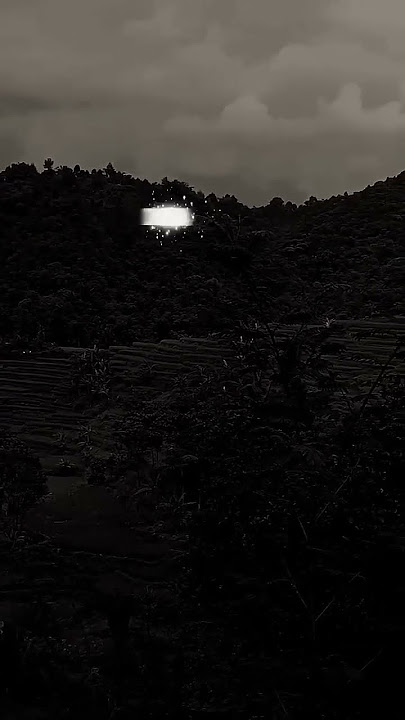 Renungkan#shorts#katabijak #selfreminder#motifasi