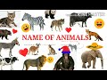 Name of Animals in English and bengali , বিভিন্ন প্রাণীর নাম, Animals name  by AROSHI'S CLASS