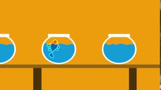 Goldfish jumping, After Effects animation