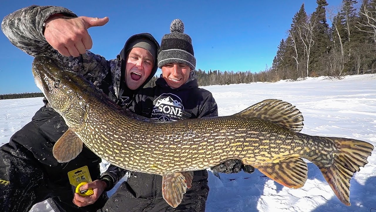 MASSIVE 46 inch Pike Ice Fishing!!! 