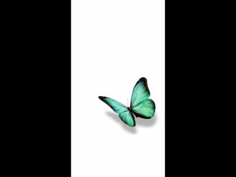 Ringtone - My Leacon (JTL)