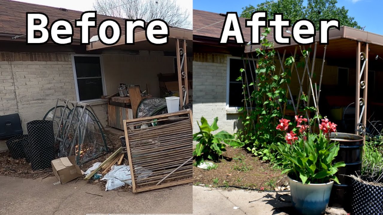 Planting a Privacy Screen-4 months in 10 minutes - YouTube