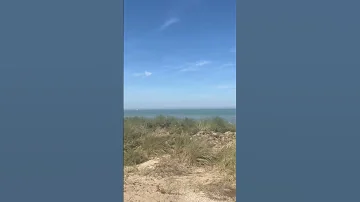 BEACH DAY Cadzand 30 juli ??????? #vakantie #nederland #beach