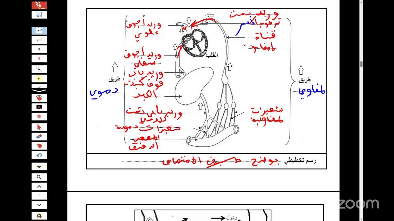 المراجعة النهائية علوم بيام 2025 الحصة الأولى