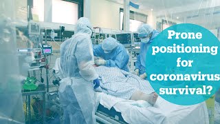 Why does prone positioning increase coronavirus survival rates?