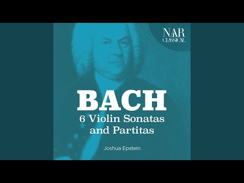 Violin Partita No. 2 in D Minor, BWV 1004: V. Chaconne