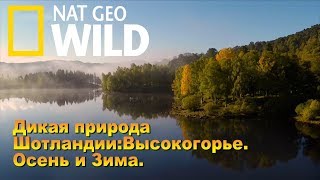 Nat Geo Wild: Дикая природа Шотландии: Высокогорье. Осень и зима/ Wild Scotland
