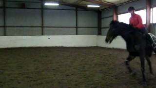 Bild 014.avi
