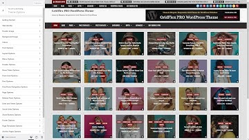 Customizer Theme Options - GridFlex PRO WordPress Theme