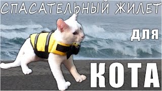 Спасательный Жилет для Кота или Собаки с Aliexpress (Cat Dog Pet Life Vest Jacket PFD) Спасательный Жилет для Кота или Собаки с Aliexpress (Cat Dog Pet Life Vest Jacket PFD)