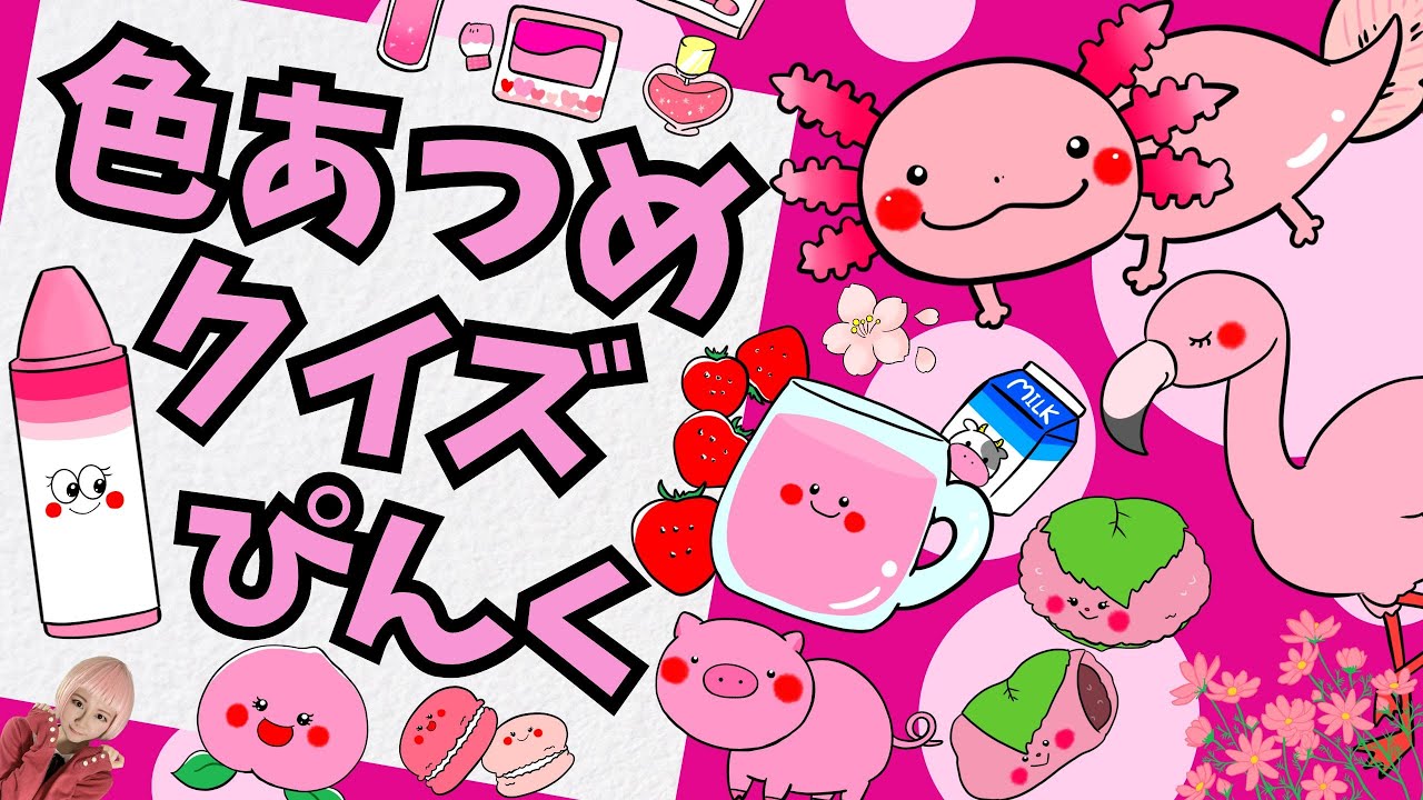 ピンクのもの大集合【色あつめクイズ：ピンク色】赤ちゃん喜ぶ！子供が