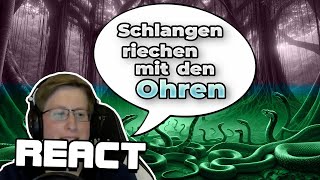 React: Best Of PietSmiet: Der Dümmste ist Raus (Folgen 1-4)