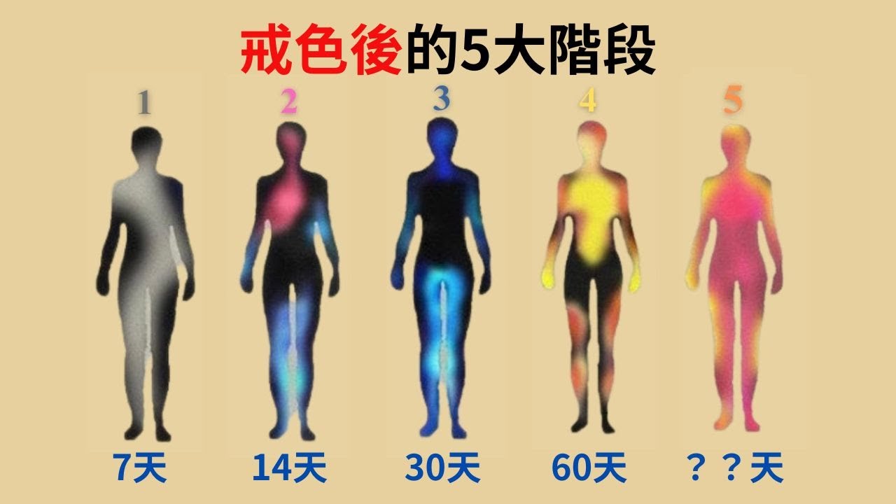 禁慾後的驚人變化｜戒掉A片才能活出你想要的生命