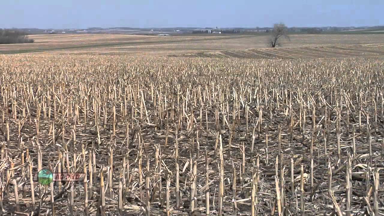 Increasing Soybean Yields #709 (Air Date 11/6/11)