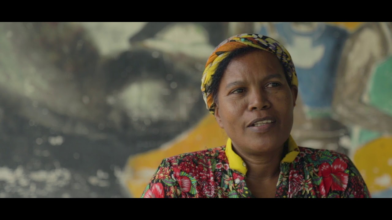 Documental - El Tigre no es como lo pintan