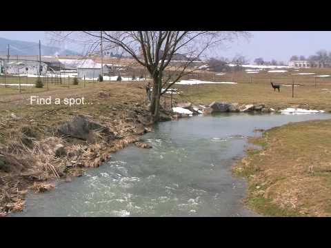 This video shows a 2010 pre- fishing season stocking of trout in Mifflin County, Pennsylvania. State officials and volunteers release nearly 1000 fish raised especially for this sport. Most trout are dumped from buckets right into Kishacoquillas Creek, but a "float trap" is also utilized.