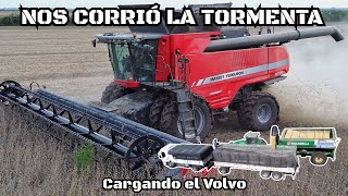 Cosechando SOJA con las DOS MAQUINAS, TORMENTA ELÉCTRICA y cargando CAMIONES!!!