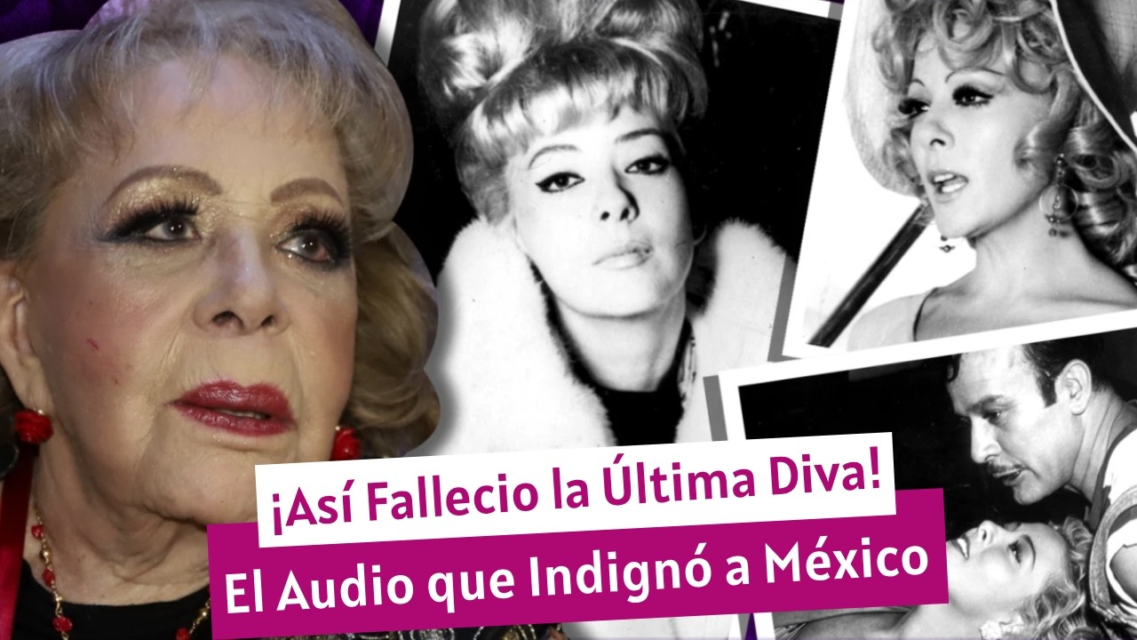 El SILENCIO que nadie quiso ver: la verdad detrás del último audio de ...