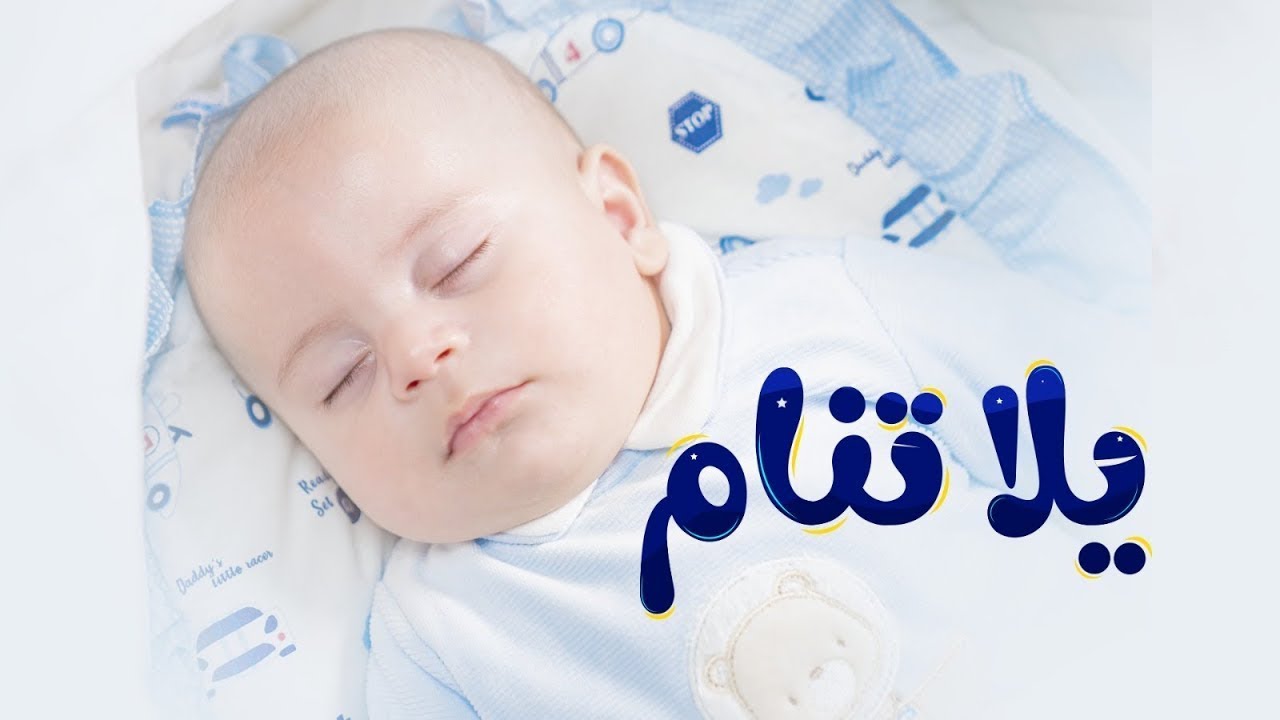 ⁣يلا تنام - سند مقداد - المقاديد | طيور بيبي Toyor Baby