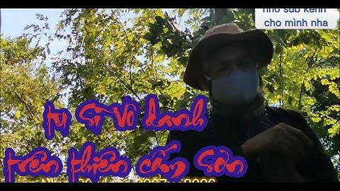 Tâm linh ký sự miền tây : cảnh đẹp ở điện cây quế vô tình gặp cư sỹ ẩn danh Núi Cấm An Giang