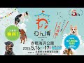 わん博in兵庫県