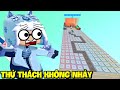 MEOWPEO THỬ THÁCH PARKOUR CẤM NHẢY SIÊU HACK NÃO VÀ CÁI KẾT TRONG MINI WORLD MINI GAME