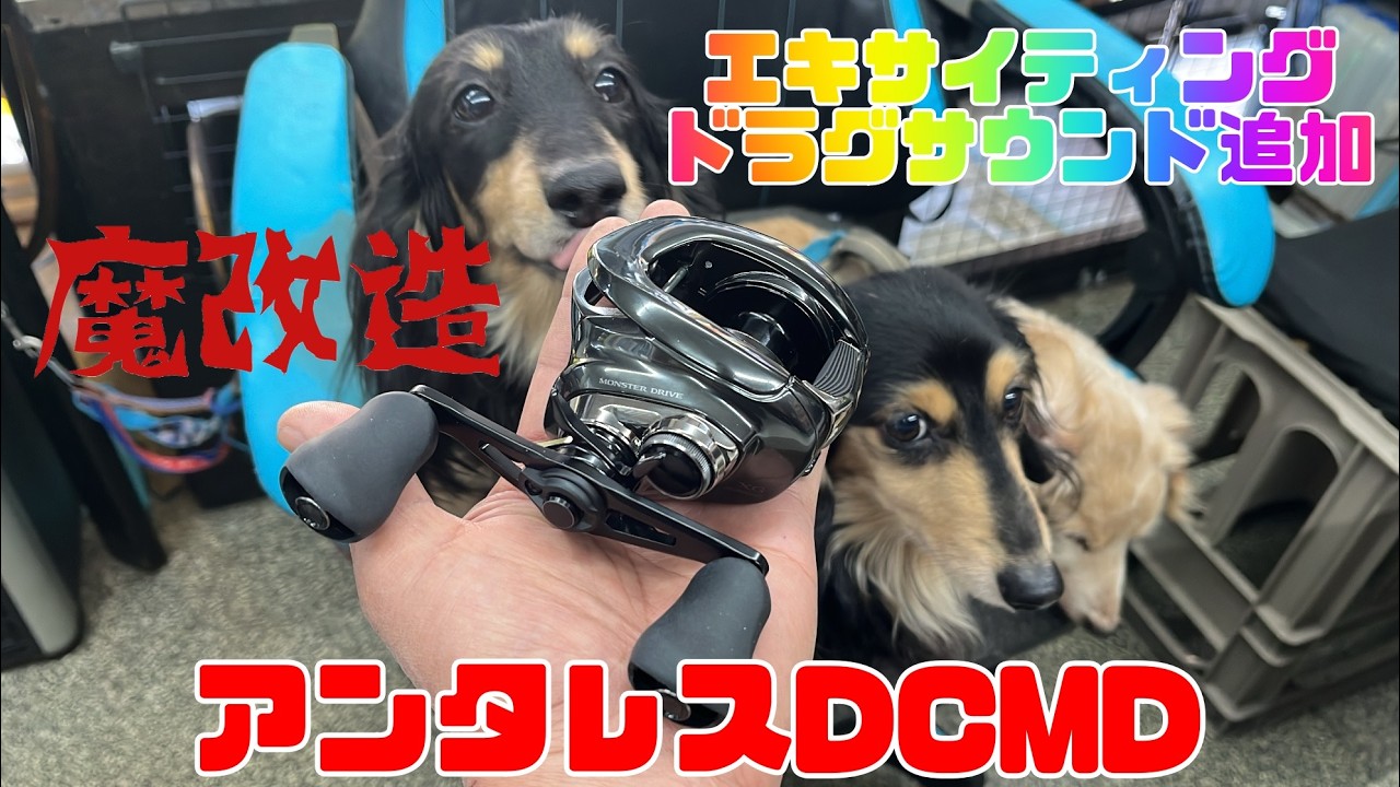 リール魔改造！シマノ23アンタレスDCMDにドラグサウンド付けて