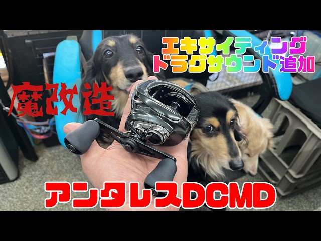 リール魔改造！シマノ23アンタレスDCMDにドラグサウンド付けて