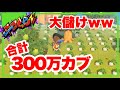 カブで心が壊れた【あつまれどうぶつの森実況】
