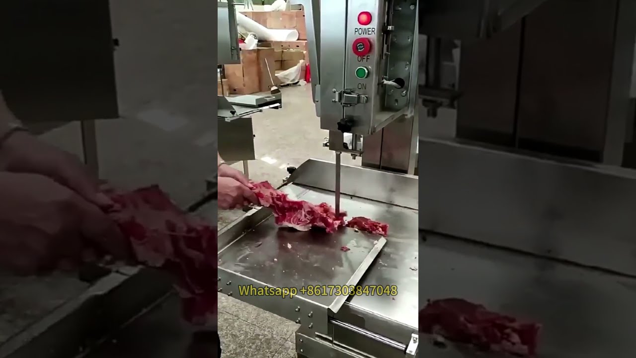 Animal Bone Cutting Machine | Bone Saws Price