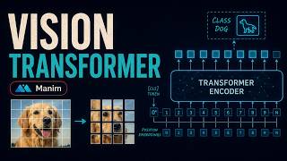 What are vision transformers