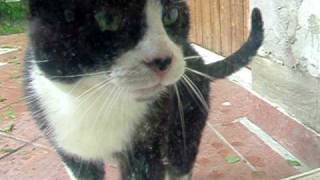 DSCF4156.AVI
