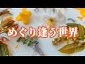 My Little Lover/めぐり逢う世界