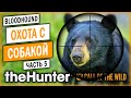 theHunter Call of the Wild #5 🐶 - НОВАЯ ЭКСПЕРИМЕНТАЛЬНАЯ ОХОТА! - Охота с Собакой (2021)