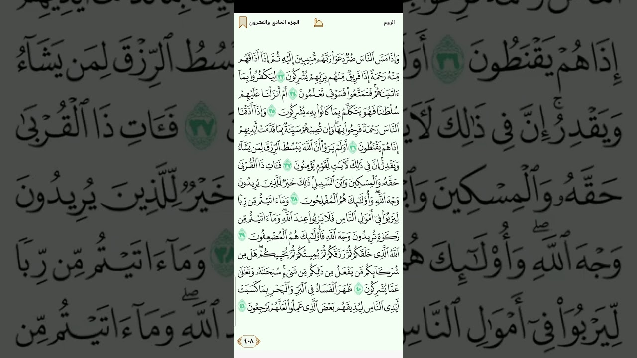 سورة الروم للقارئ مصطفي رعد الغزاوي 1080