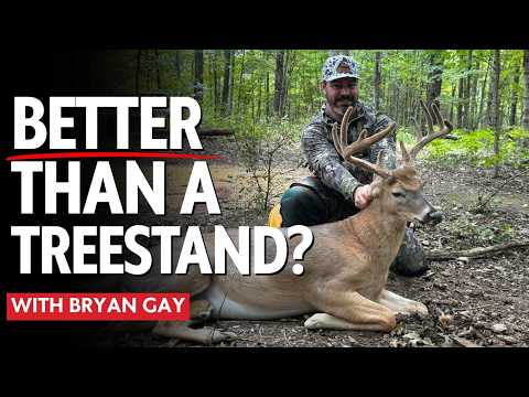 Saddle Hunting: Overrated or the Best Way to Hunt Whitetails?