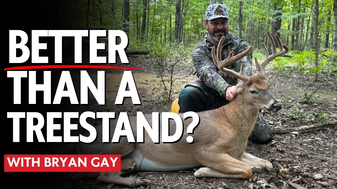  Saddle Hunting: Overrated or the Best Way to Hunt Whitetails?