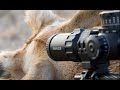 Picking a Rifle Scope for a Custom Build