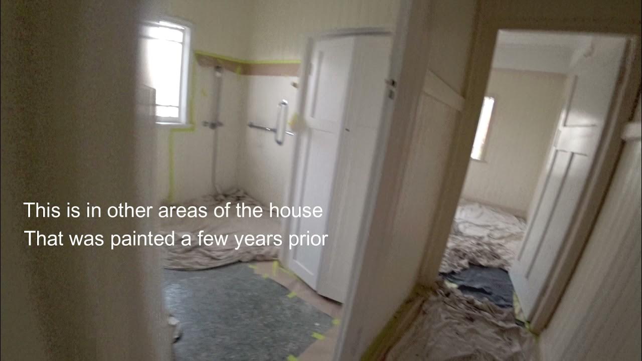 Do i need a primer / undercoat and if i do ,why? how do I test? YouTube