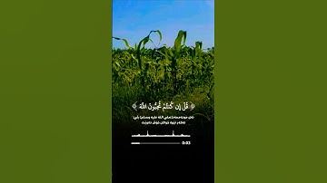 تلاوة خاشعة قرأن كريم تخشع له القلوب #تلاوة #اكسبلور #aslam #duet #المصحف #trend #قران_كريم
